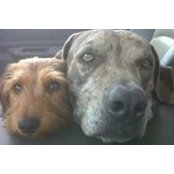 Whitney Hicks's photo