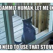 Donna Surich's photo