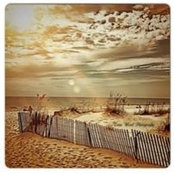 Tena Wood's photo