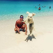 Brian Leahy's photo