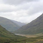 Rhona Wendler's photo