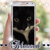Liz Lauber's photo
