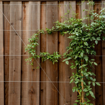 Custom Cable Trellis with Flowering Vine in the Side Yard