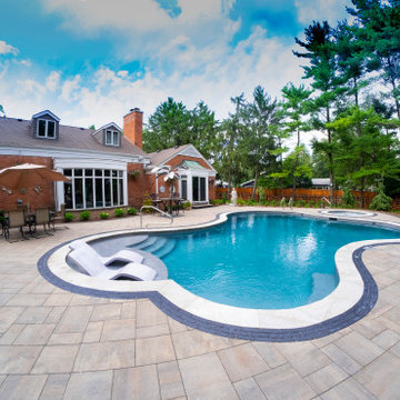 Oswego, IL Freeform Pool and Hot Tub