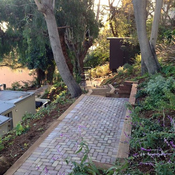 Hillsides, Drought Friendly