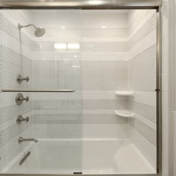 Brighton Whole Home Remodel & Addition