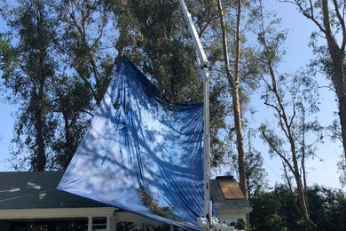 Studio City Eucalyptus trimming with not even a scratch on the guest house.