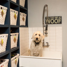 Dog shower area