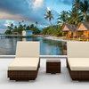 BROWN SERIES 3-Piece Modern Outdoor Patio Furniture Chaise Lounger Set