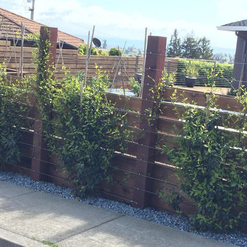 Synthetic Lawn Replacement & Contemporary Landscape