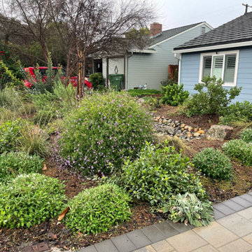 California Native Plants- Front and Back Yard Design