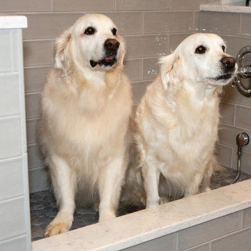 Custom Laundry Room Dog Bath