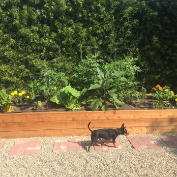 Edible Gardens