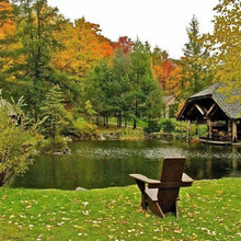 pond