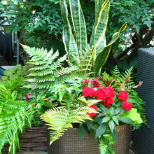Gardening & Planters