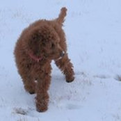 Cherlyn Smith Wright's photo