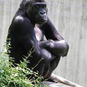 Foto von Eduardo Yi