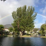 Mary Eadson's photo