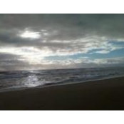 Lorrene's photo