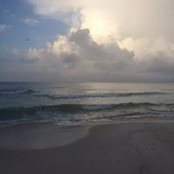 Shelly Olive's photo