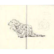 Alex Knox's photo