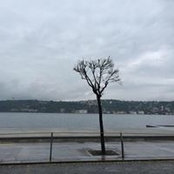Foto de NoHa FY
