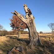 Tom Harrold's photo