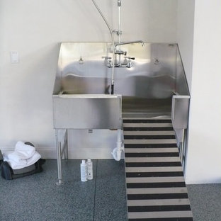 オタワの大きいインダストリアルスタイルのおしゃれなランドリールーム (スロップシンク) の写真