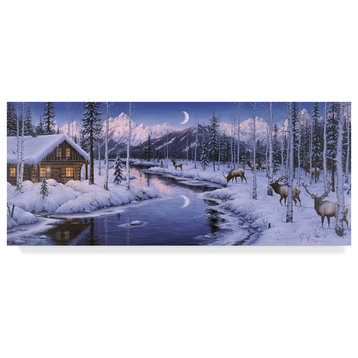 Jeff Tift 'Winter Silence' Canvas Art, 47"x20"