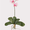 Mini Phalaenopsis Silk Orchid Flower With Leaves, 6 Stems