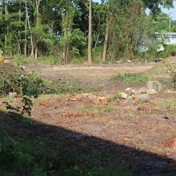 Virginia Beach Lot Clearing