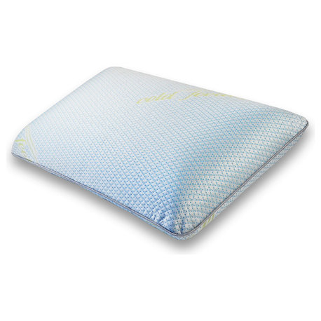 Queen Memory Foam Ice Silk Pillow