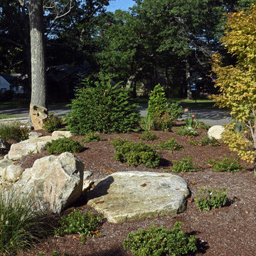 Dry Stream Beds