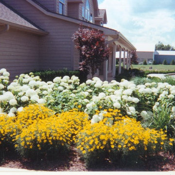 Patios & Gardens
