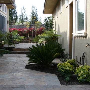 EXAMPLES OF WORK