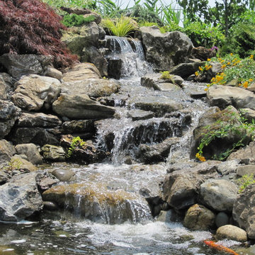 Pond Paradise Designs assorted photos