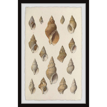 "Handful of Shells" Framed Painting Print, 30x45
