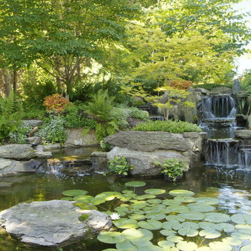 Water Features