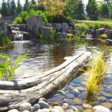 Ecosystem Ponds
