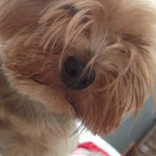 Stevie's photo