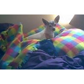 Debbie Doyle's photo