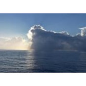 Kathryn Cottrell's photo