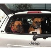 Mary Lotozynski's photo