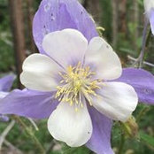 Dana McGrady's photo