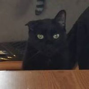 Lynn Goode's photo
