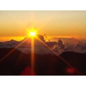 Carla Caputo Searcy's photo