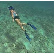 Alison D'Atrio's photo