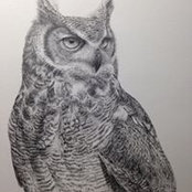 Nava Ramek's photo