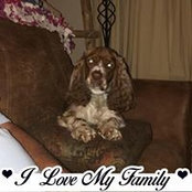 Donna Evans-Shockley's photo