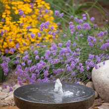 water feature